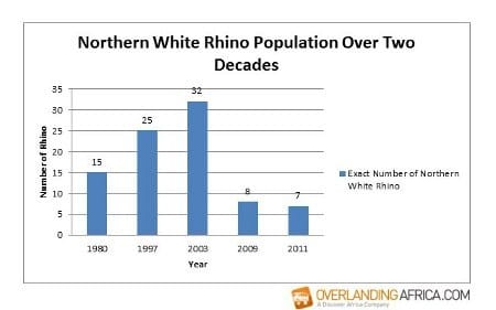 Northern White Rhino - Can science save the rhino from extinction?