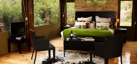 Malaria-free safaris in South Africa