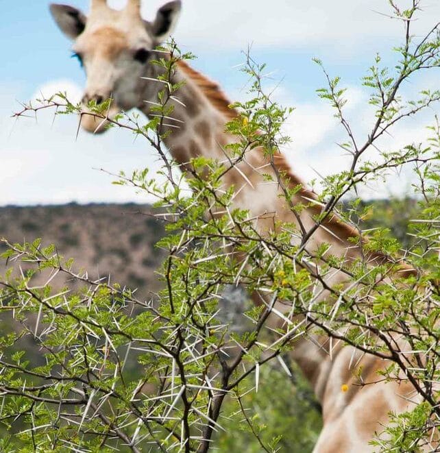 Interview with South African photographer Jon-Erik Munro