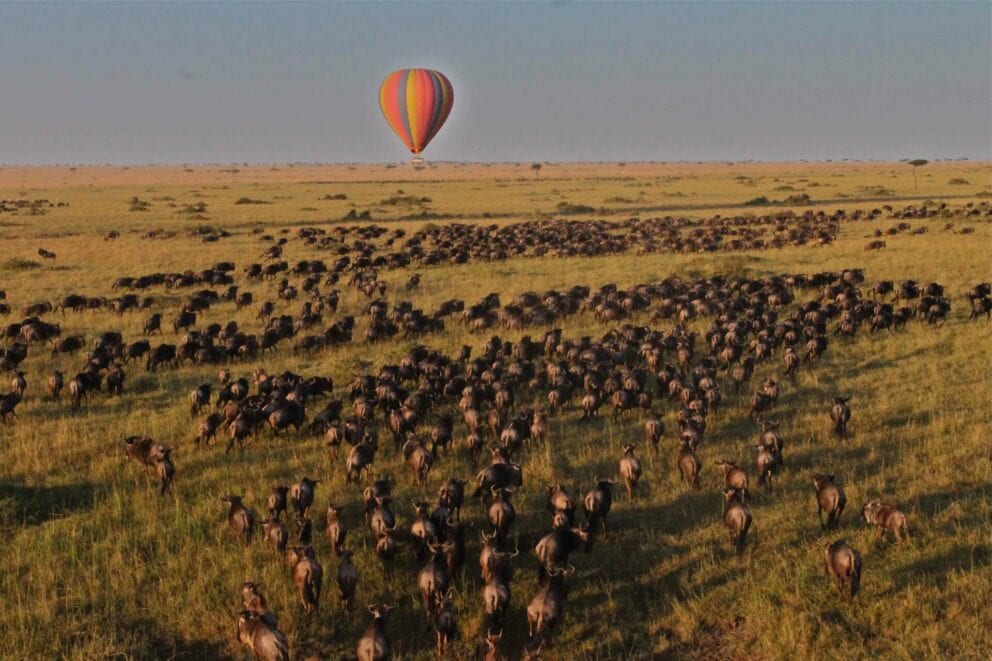 Hot Air Balloon safari over the Serengeti during the Great Migration. Vote for Discover Africa at the World Luxury Travel Awards