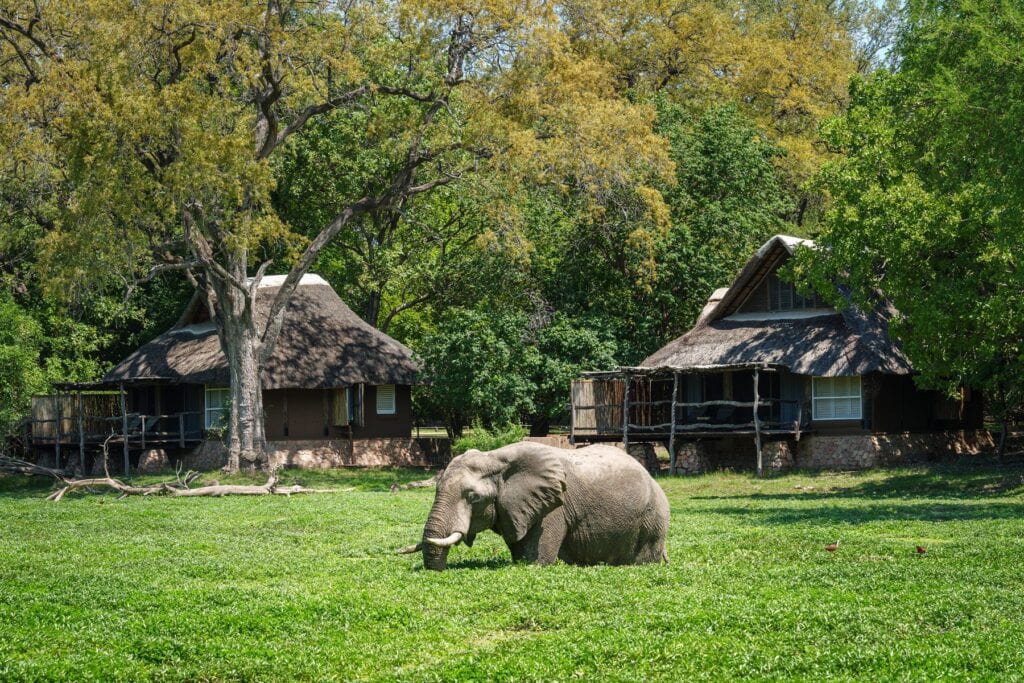 Mfuwe Lodge
