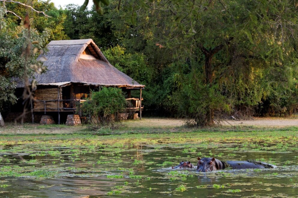 Front view of Lodge | Photo credit: Mfuwe Lodge