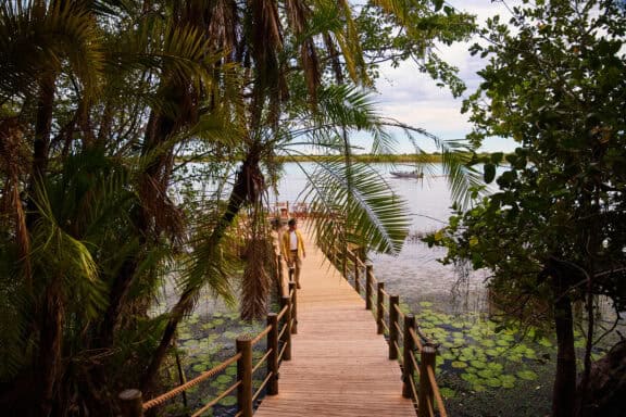 View of the tree lined elevated wooden pathway leading to the fire deck at Xugana Island Lodge, Botswana.