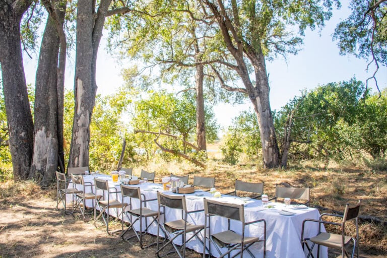 An outdoor dining experience under the trees at Kwara Camp, Botswana.