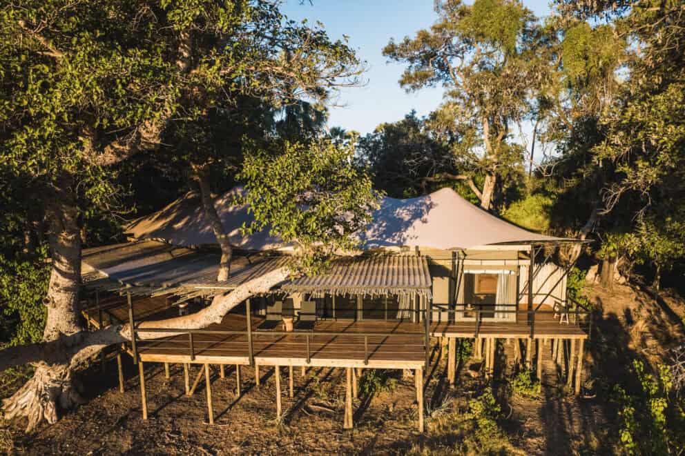 Exterior view of the family suite at Wilderness Tubu Tree, Okavango Delta