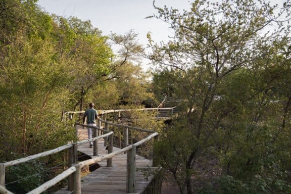 Walkway through bush, showcasing how safe Botswana is