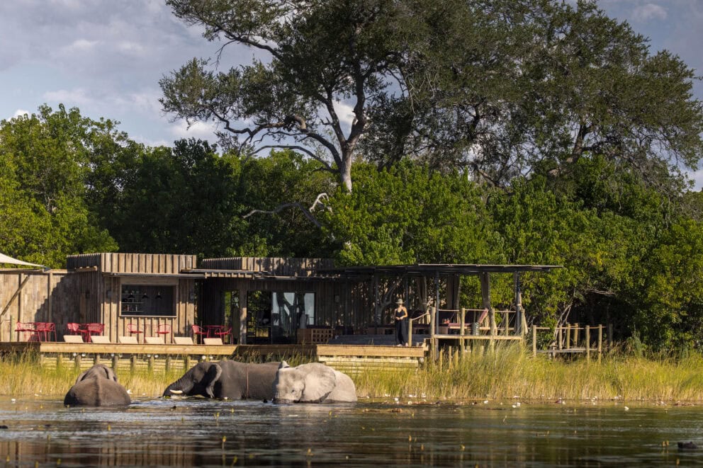 Guests standing on their private deck observing an elephant crossing the river at Wilderness DumaTau in the Linyanti Concession, Botswana.