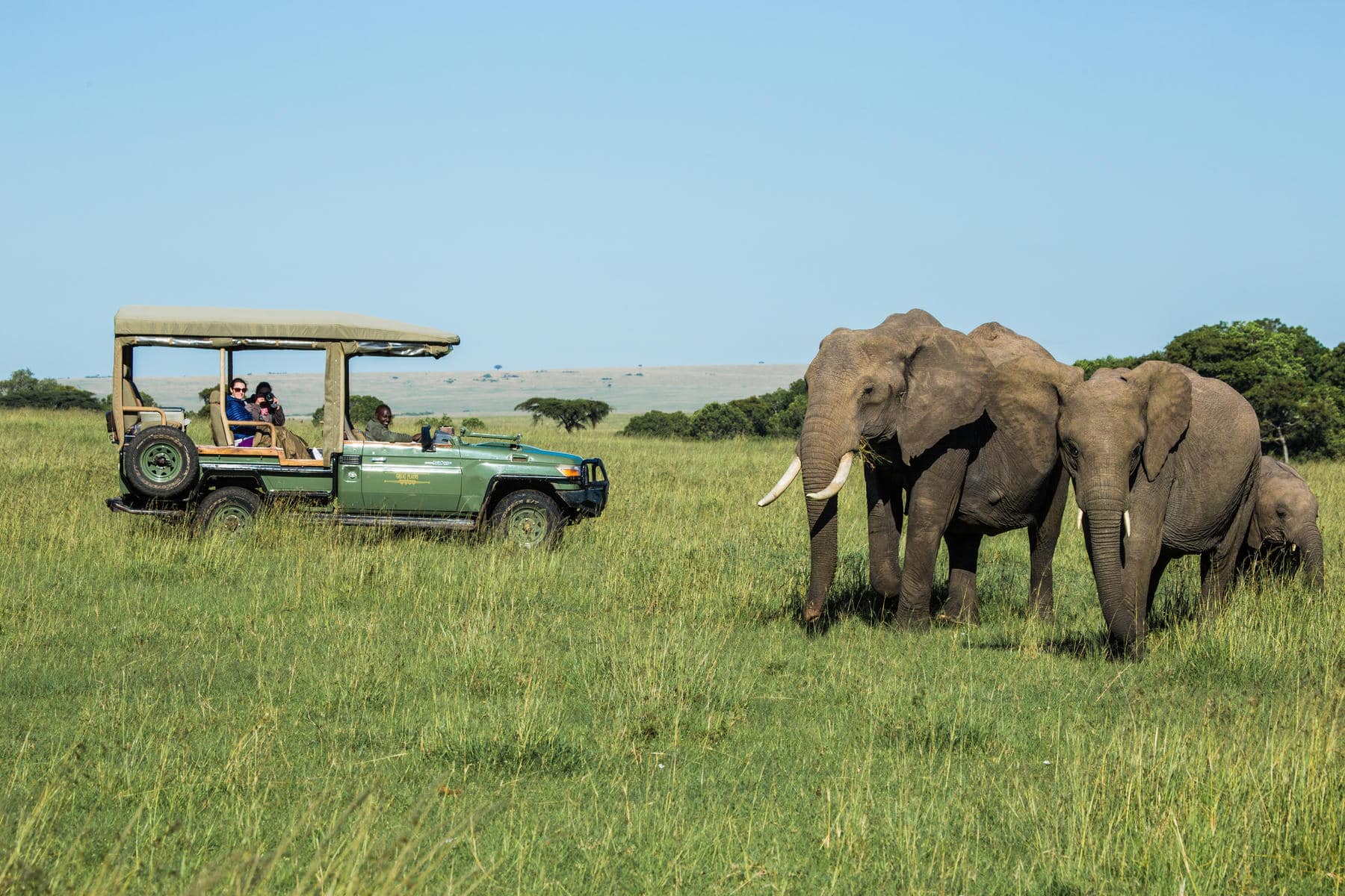 A game drive seeing elephants in the Masai Mara on a Kenya safari