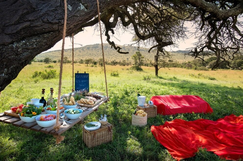 A picnic overlooking the open Serengeti plains at Klein's Camp, Tanzania.