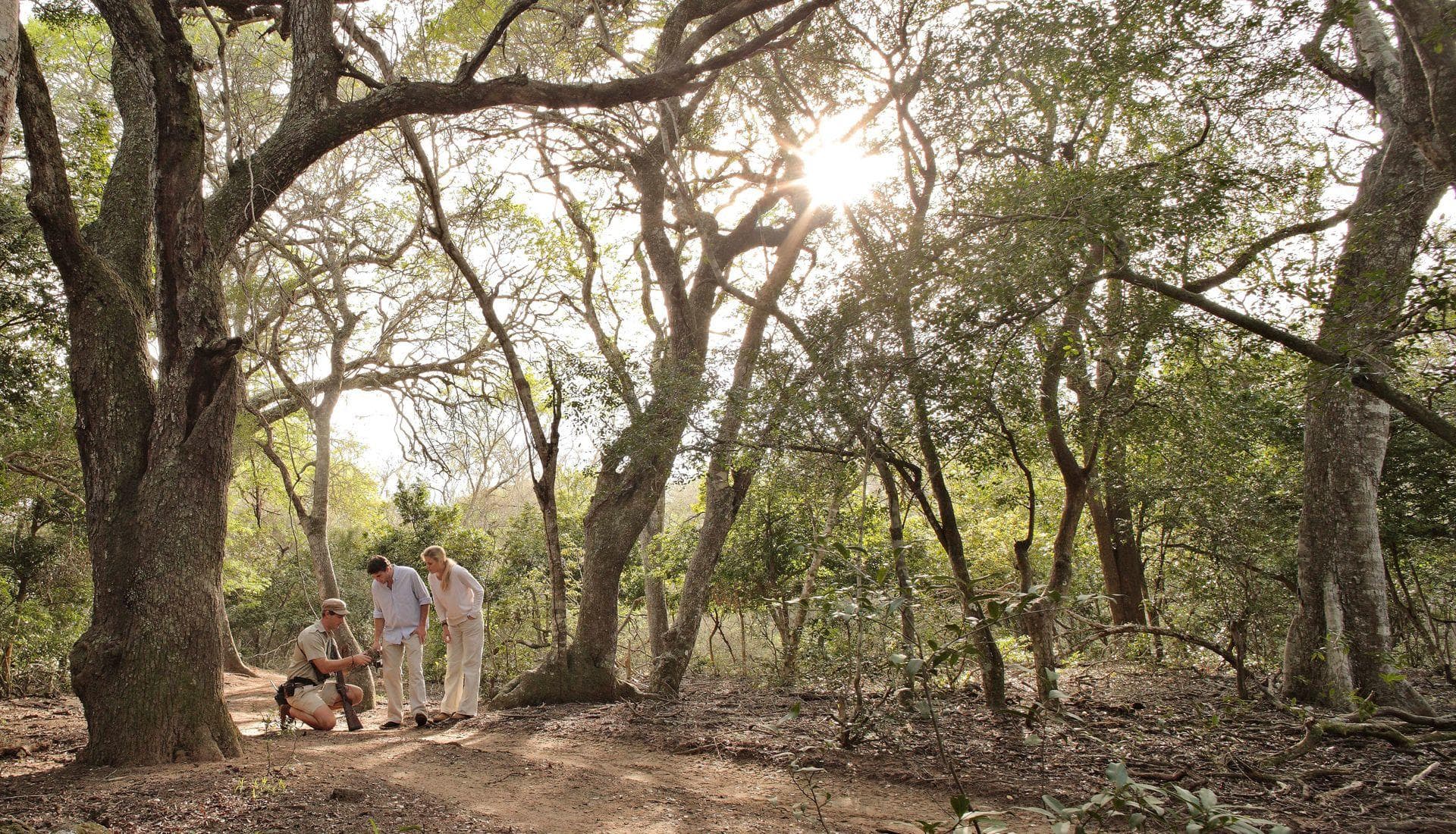 Guests on a guided nature walk near andBeyond Phinda Homestead in Phinda Private Game Reserve, South Africa.