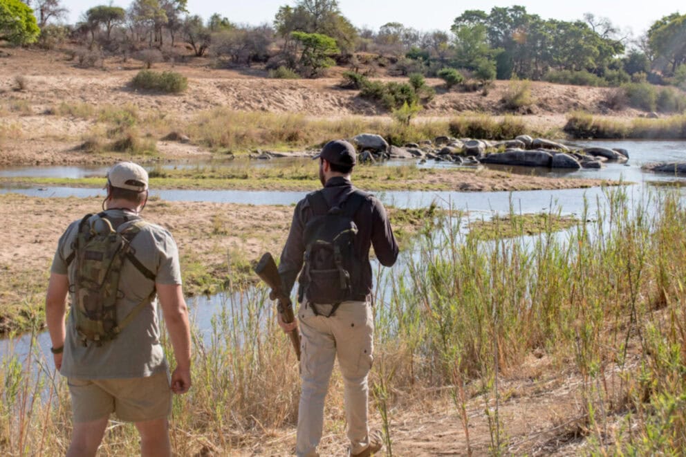 Walking safari in Kruger National Park, South Africa