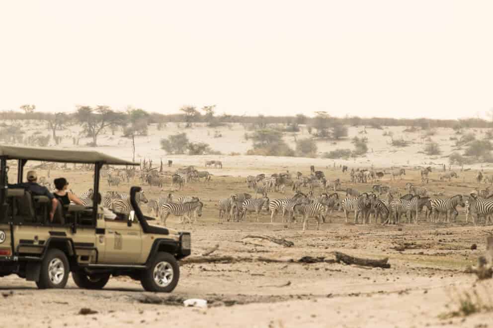 Game drives in Makgadikgadi Pans National Park during the Zebra migration there. This can be enjoyed as part of elephant safaris in Botswana.