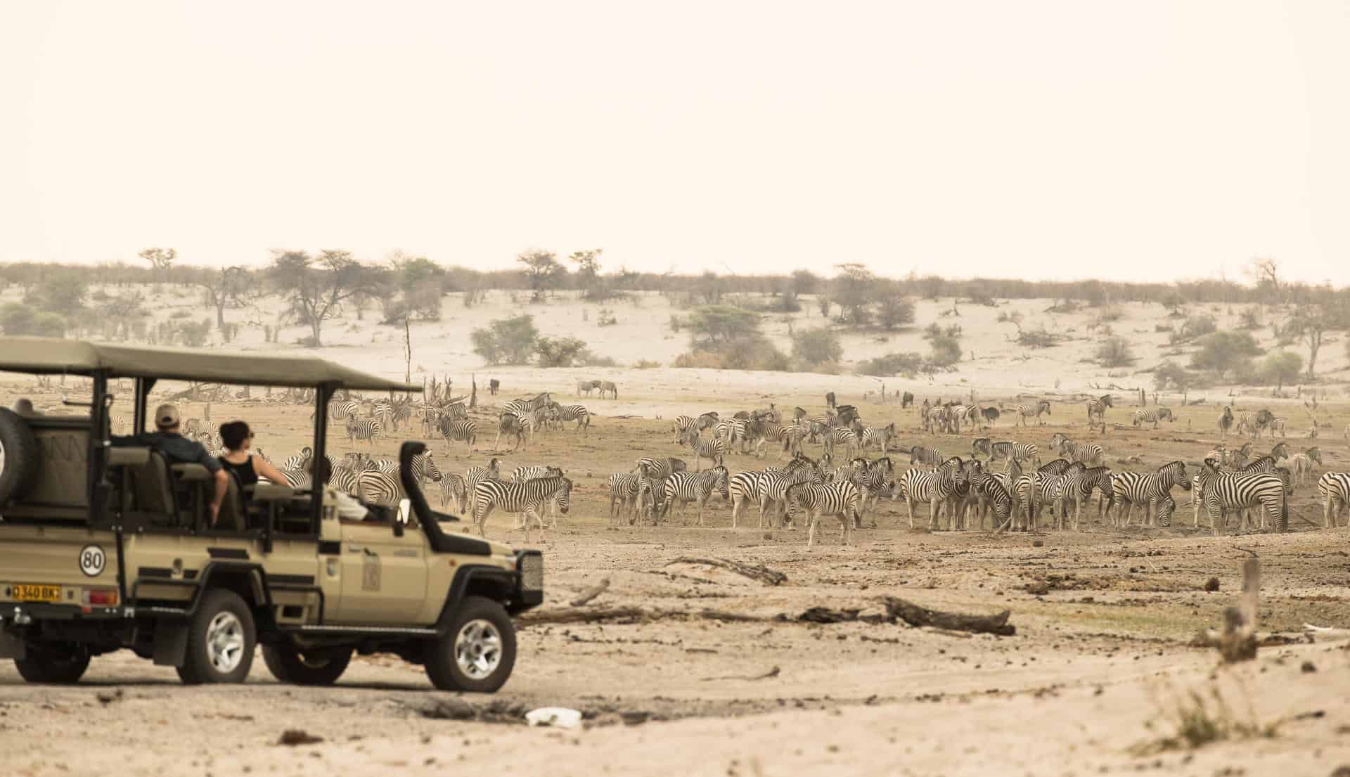 Game drives in Makgadikgadi Pans National Park during the Zebra migration there. This can be enjoyed as part of elephant safaris in Botswana.