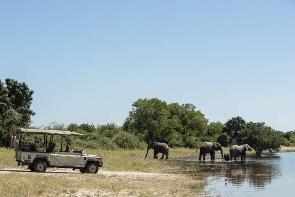 Guests on a game drive in a safari vehicle watching a herd of elephants at the Chobe River near Chobe Game Lodge, Botswana.