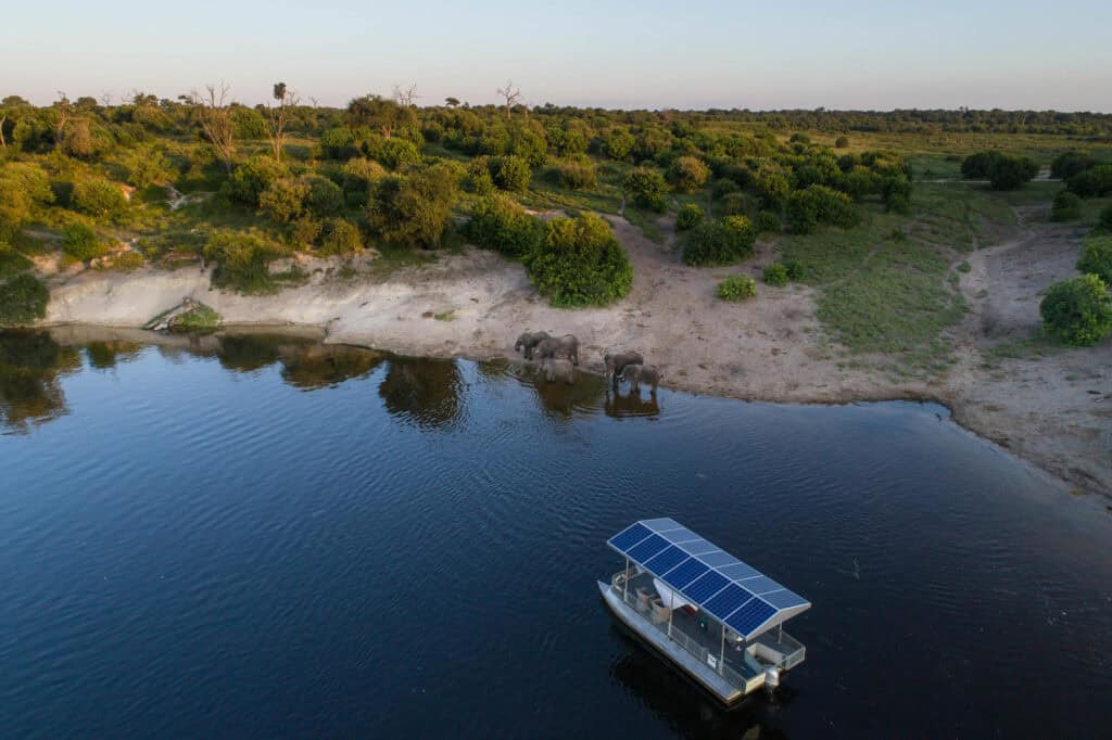 Elephants spotted at the waters edge during a boat cruise on the Chobe River at Chobe Game Lodge, Botswana.