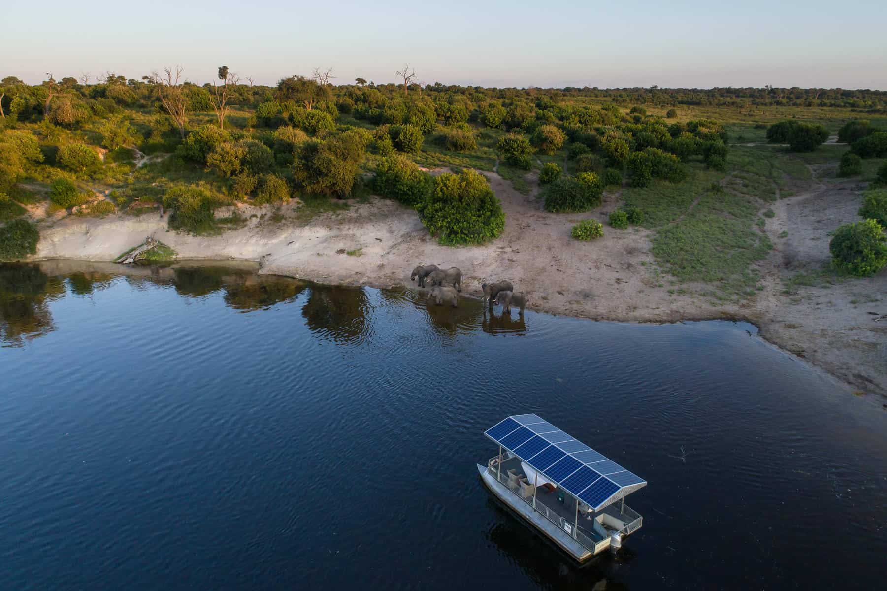 Elephants spotted at the waters edge during a boat cruise on the Chobe River at Chobe Game Lodge, Botswana.