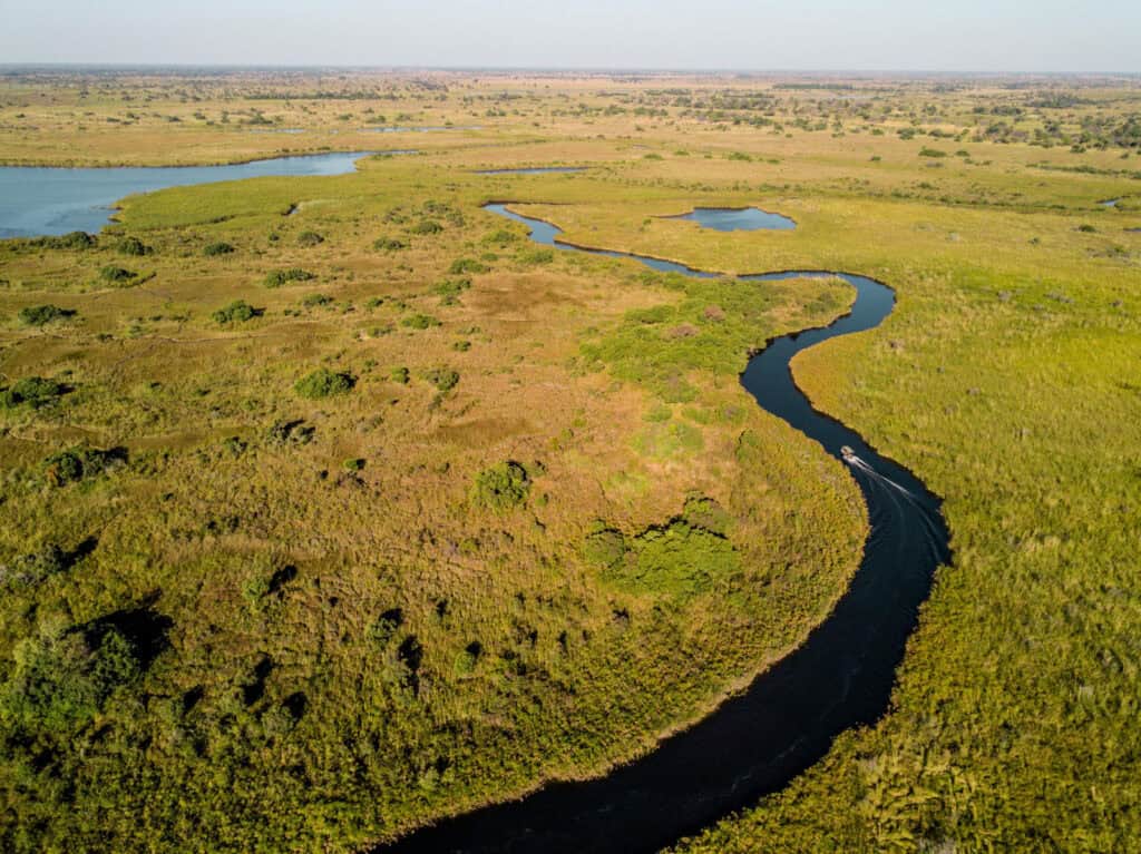 An aerial view of the water channels in the Okavango Delta, Botswana.