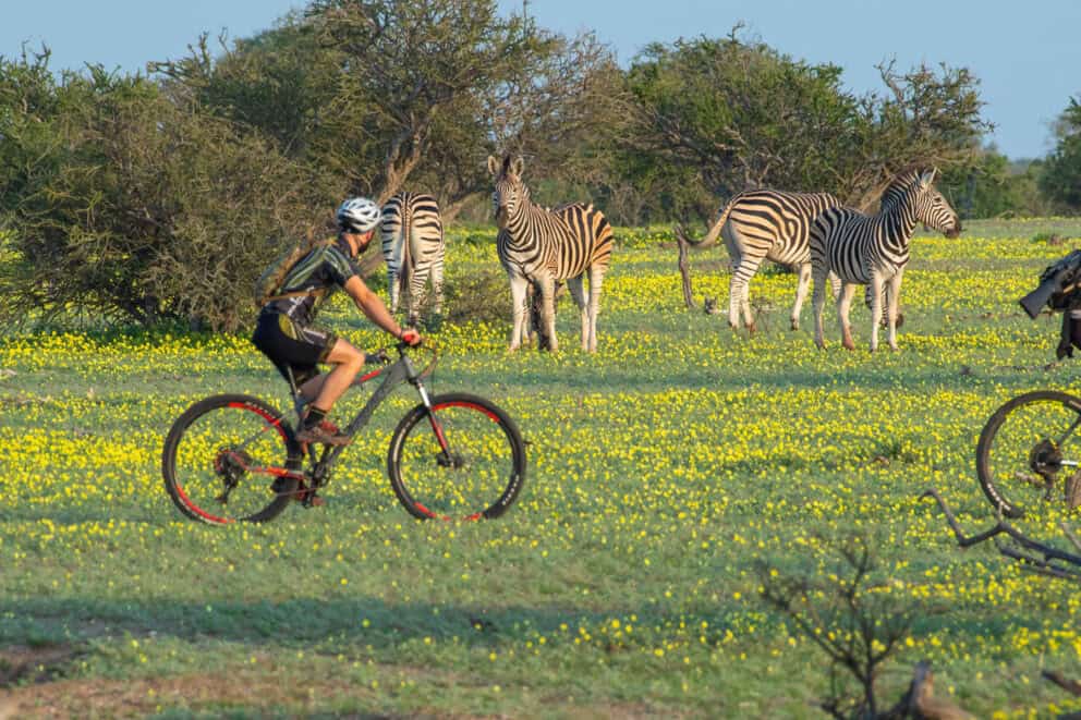 Cycling safari | Photo credit: Mashatu Lodge