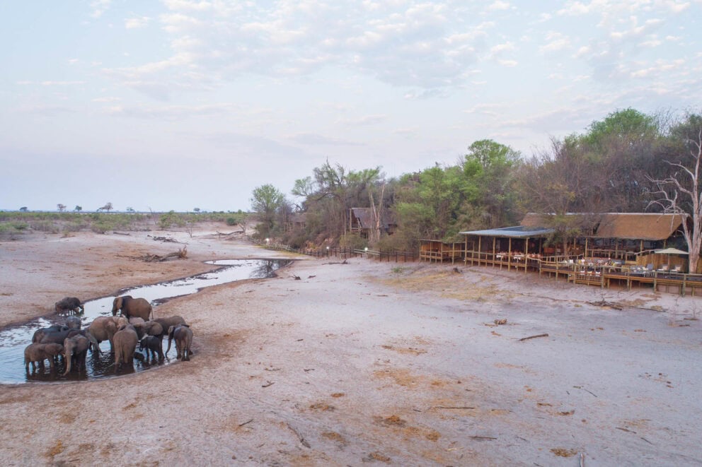 Elephants gathered at a waterhole at Savute Safari Lodge