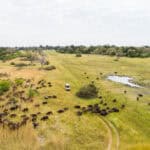An aerial view of the Moremi Game Reserve landscape.
