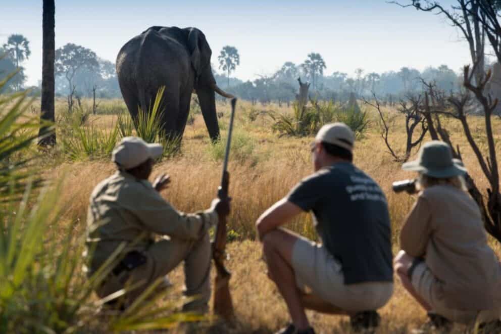Guests on a guided walking safari observing an elephant nearby at Sandibe Okavango Safari Lodge, Botswana.
