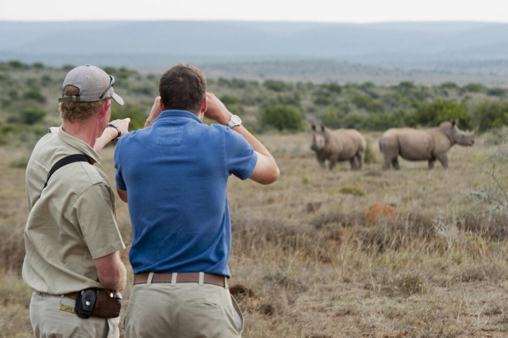 Rhino spotted on a game drive in Kwandwe. Photo: Kwandwe