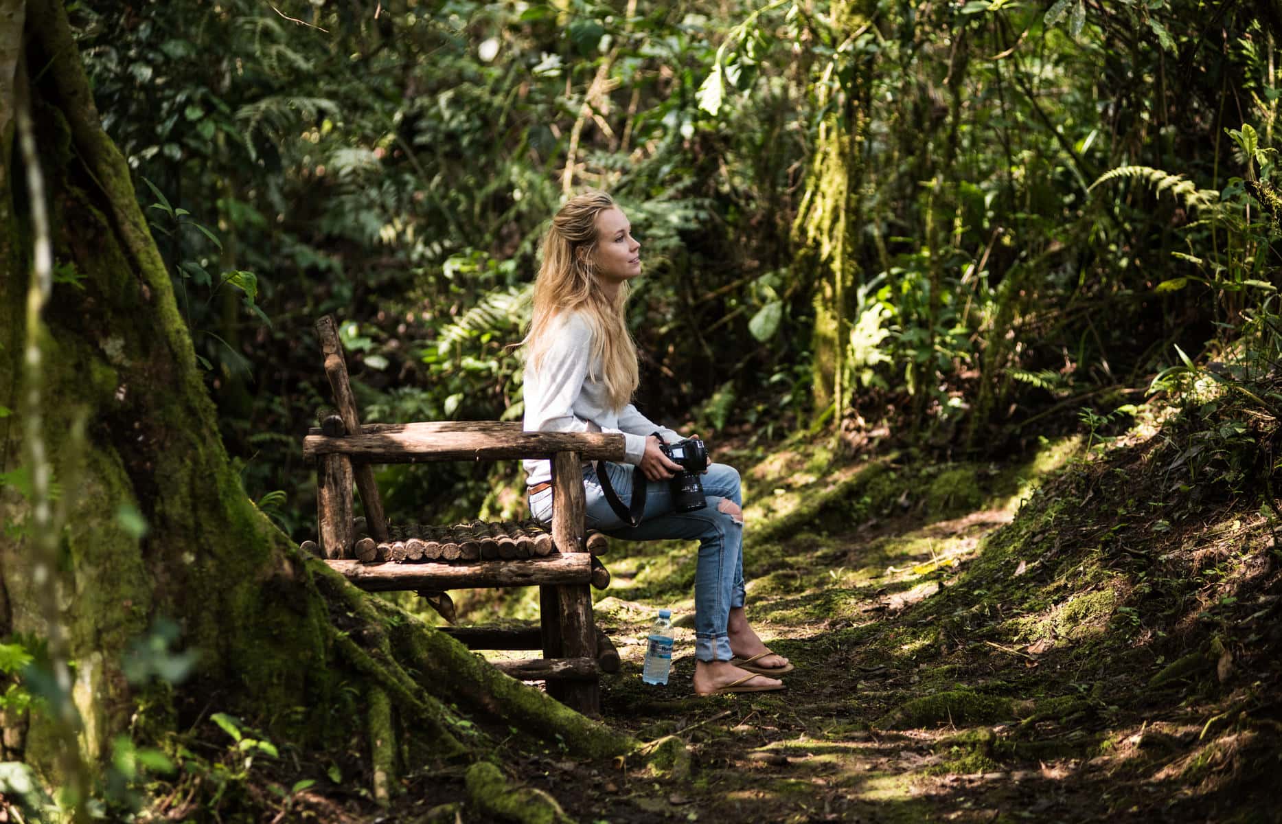 Bwindi Impenetrable National Park, Uganda