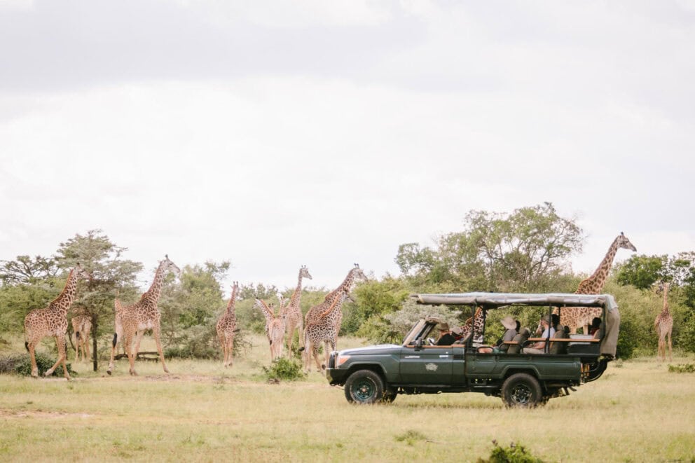 Tourists in a safari vehicle observing a herd of giraffes at Cottar’s 1920s Camp, Kenya.