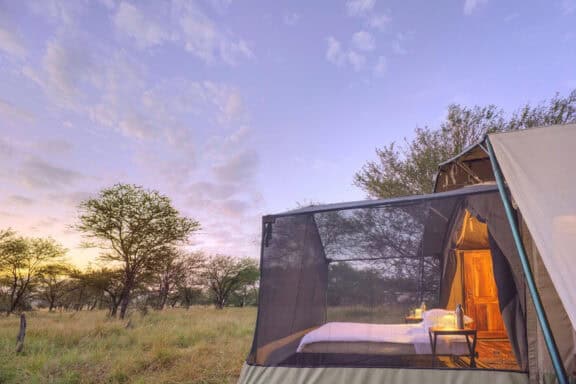 Tent Extension of a mobile camp made for star gazing