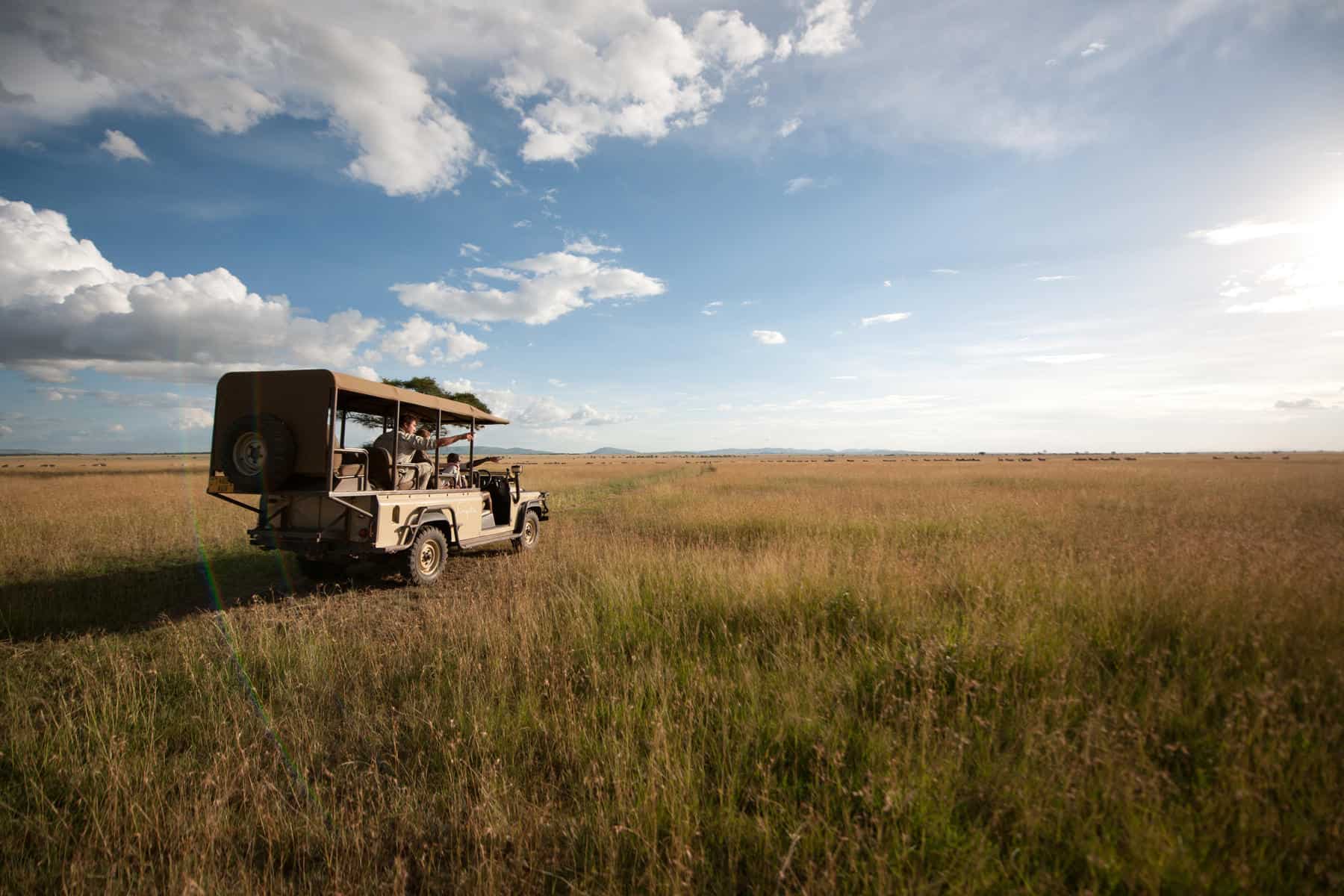 Game drive on a Singita Concession private safari
