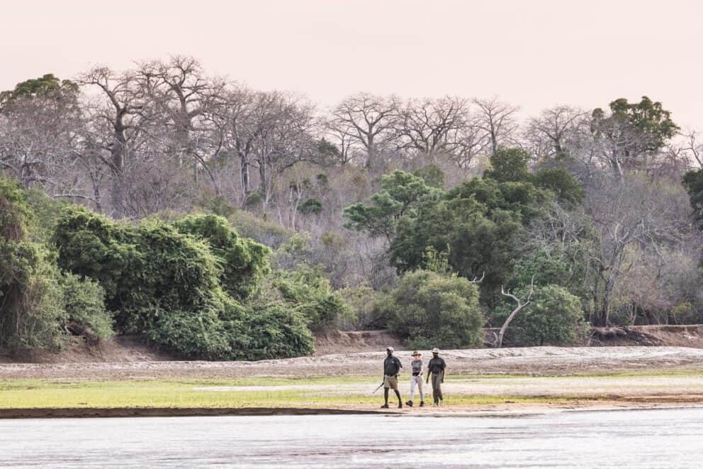 Guests on a guided walking safari near Sand Rivers Selous in Selous Game Reserve, Tanzania.