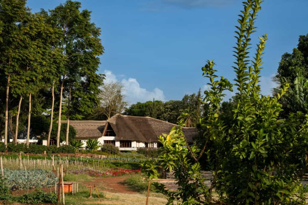 View of the garden at Ngorongoro Farm House, Tanzania.