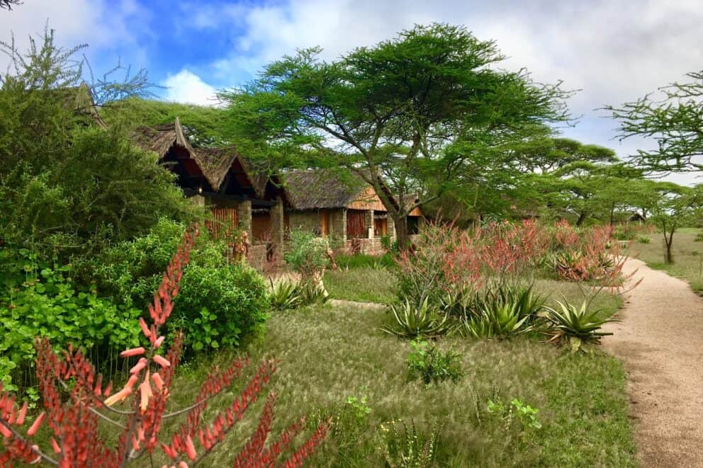 Exterior of Ndutu Safari Lodge