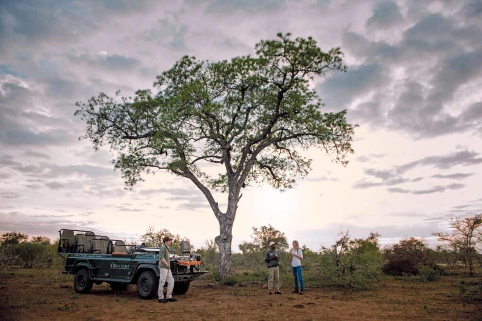 Game drive at sunrise in Timbavati Game Reserve