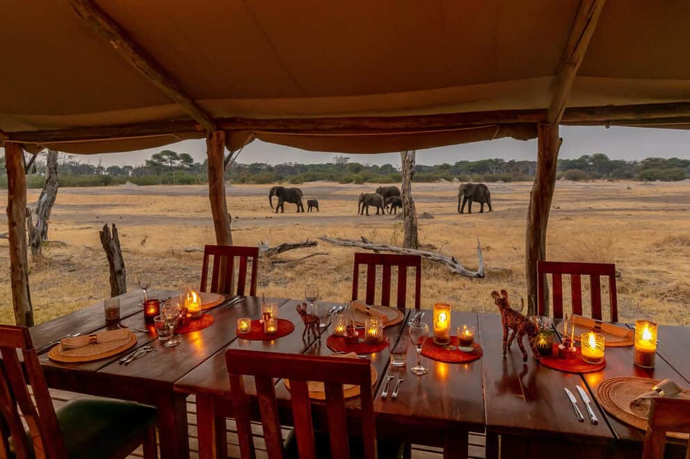 Elephants roaming pass the dining room at The Hide in Zimbabwe.