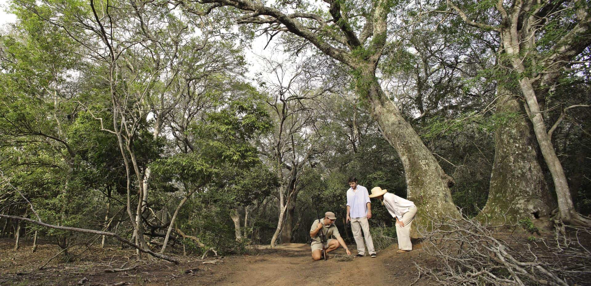 A couple on a guided walking safari at Phinda Forest Lodge, South Africa.