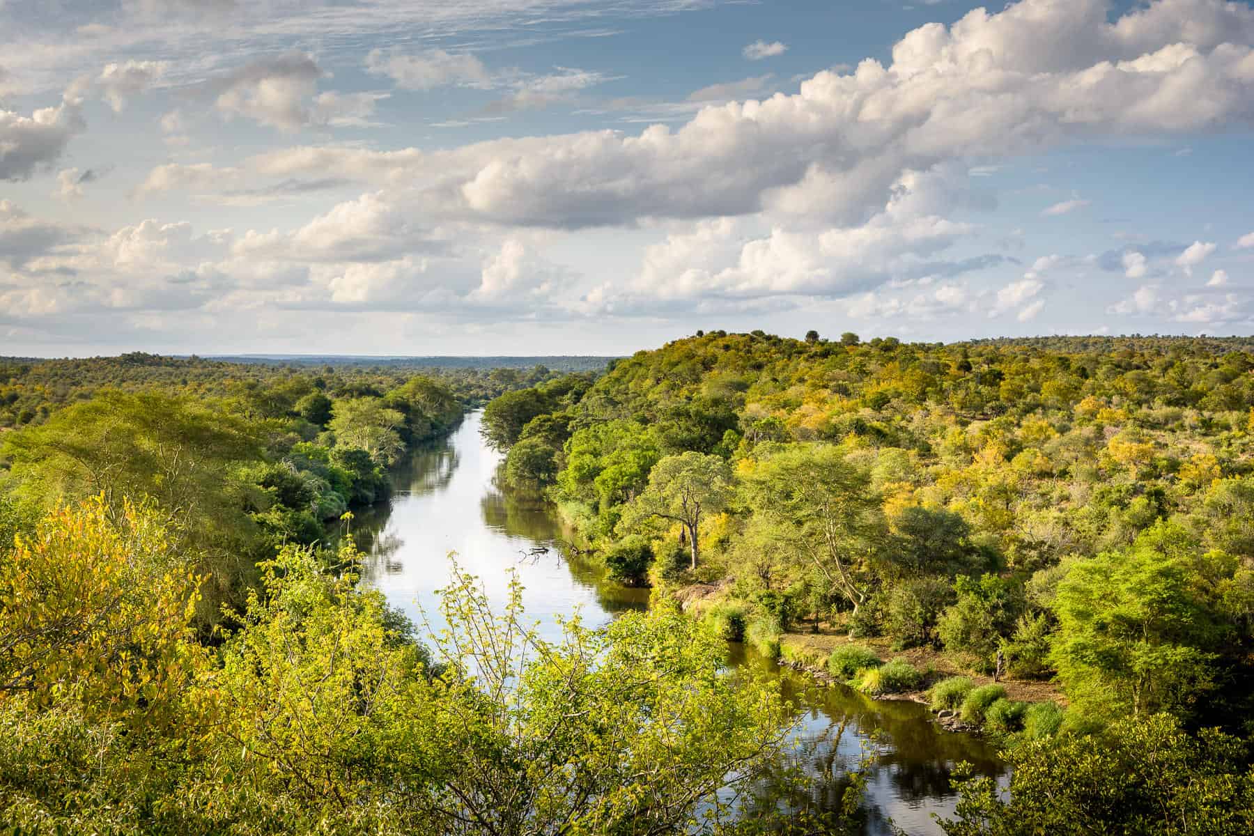 View of the river in Kruger National Park