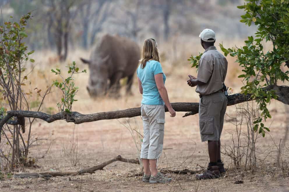 A tourist on a walking safari observing a rhino in the distance at Toka Leya, Zambia.
