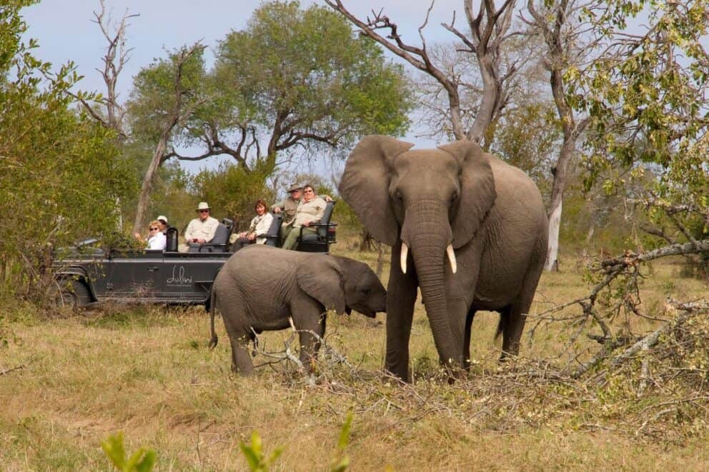 Game drives at Dulini