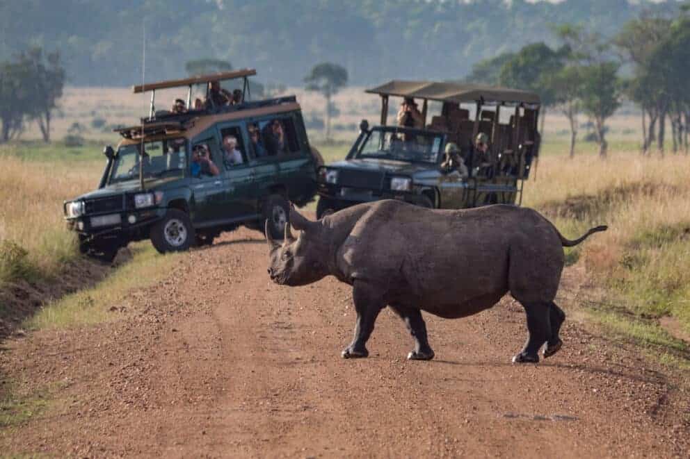 Rhino Safaris