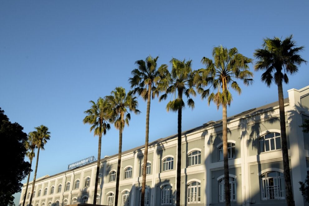 Exterior view of Hotel with palm trees | Photo credit: V&A Hotel