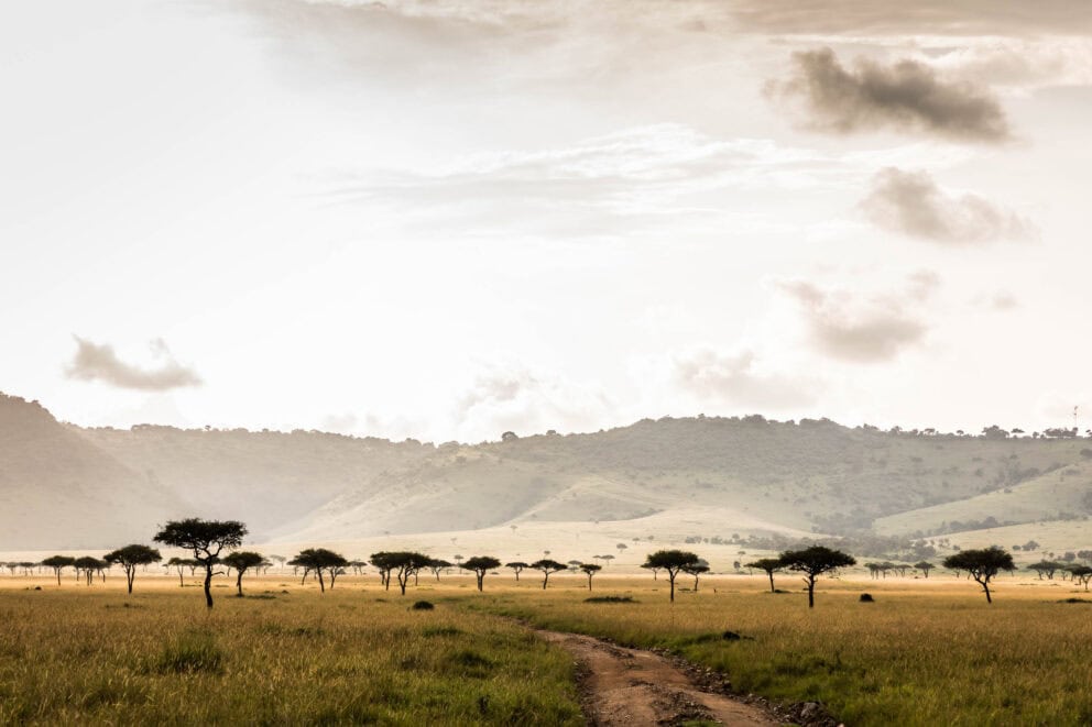 View of the Masai Mara open plains on a game drive at Kichwa Tembo Tented Camp, Kenya.