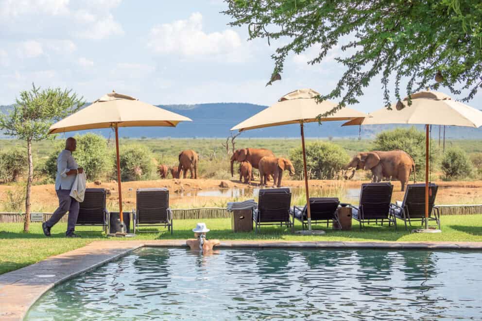 View of the watering hole from the pool area at Lelapa Lodge, Madikwe.