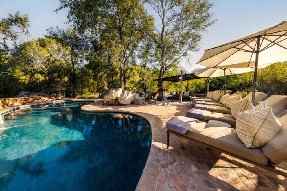 View of the African bushveld from the pool deck at Sabi Sabi Bush Lodge, South Africa.