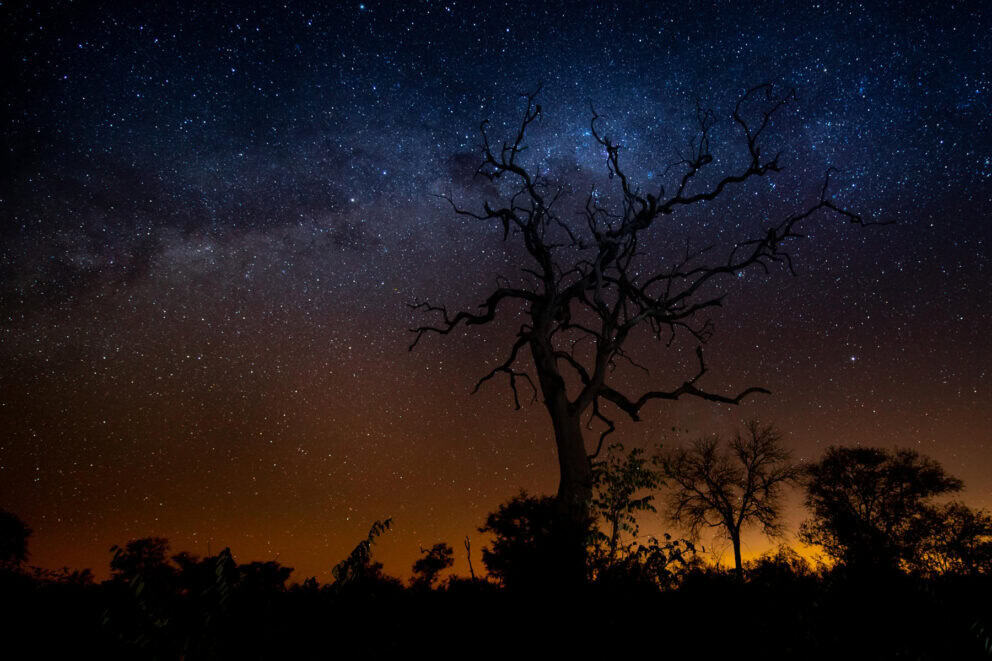 A view of the starry night sky at Singita Boulders Lodge, Sabi Sand Private Game Reserve.