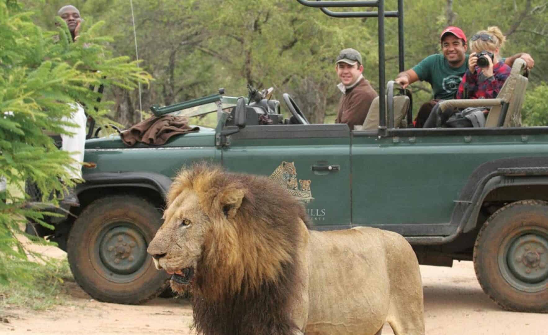 Sabi Sands and Timbavati All Inclusive Safari