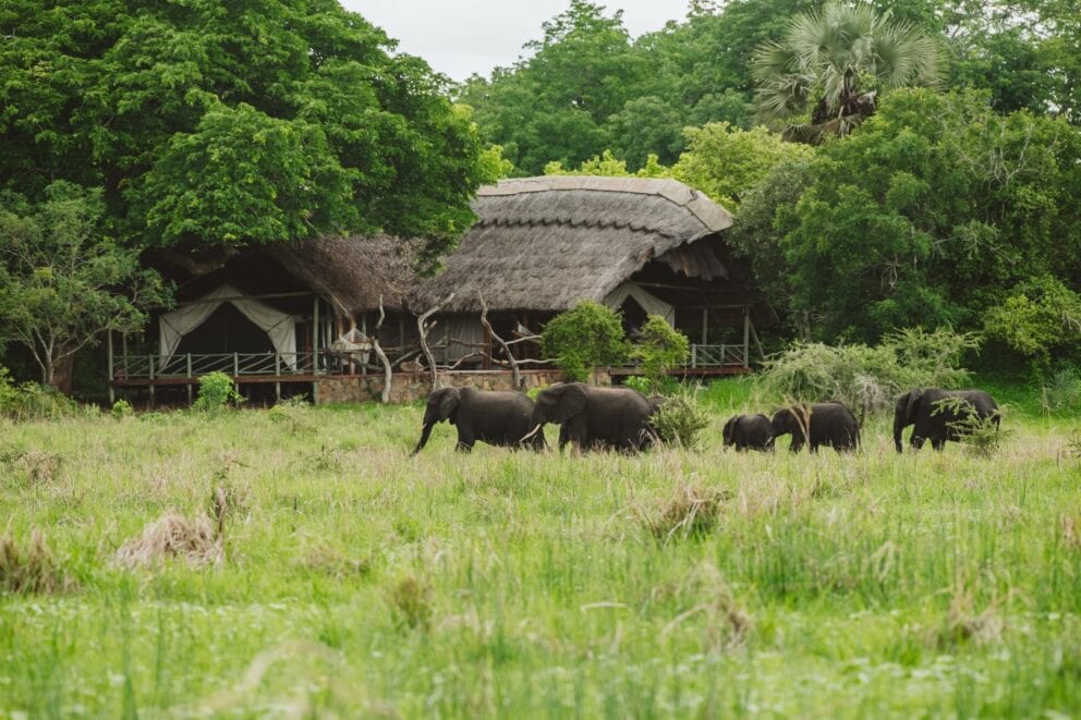 Family Suite with a view of Elephants in Katavi Wildlife Camp