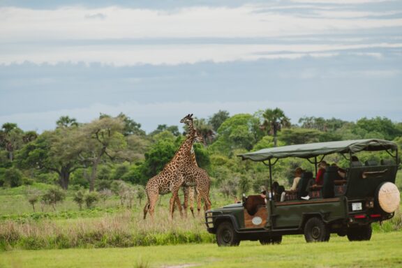 Game Drive and Giraffes | Photo credit: Katavi Wildlife Camp