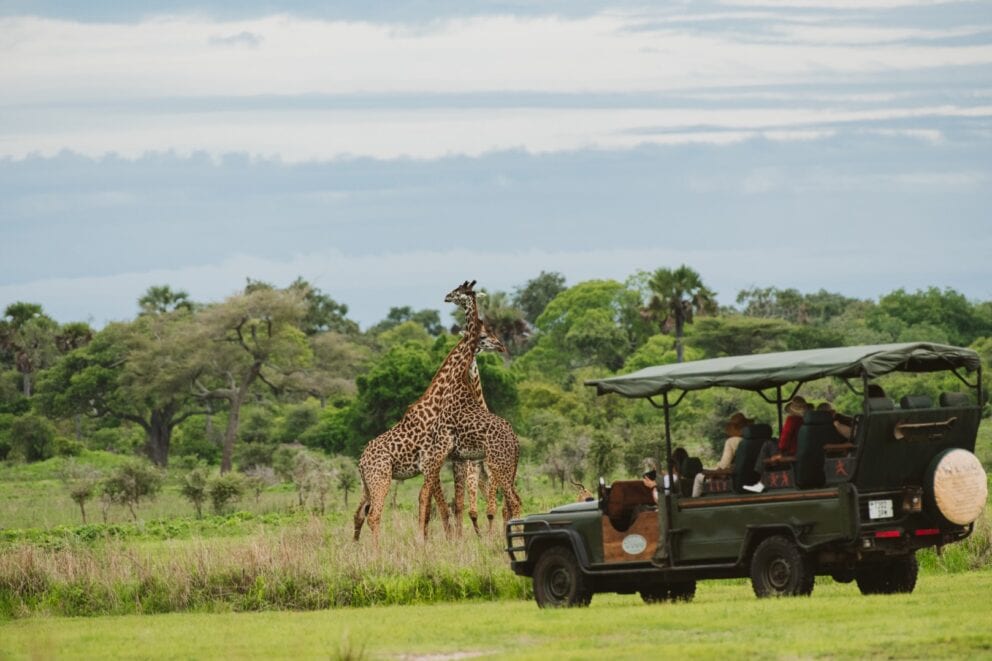 Game Drive and Giraffes | Photo credit: Katavi Wildlife Camp
