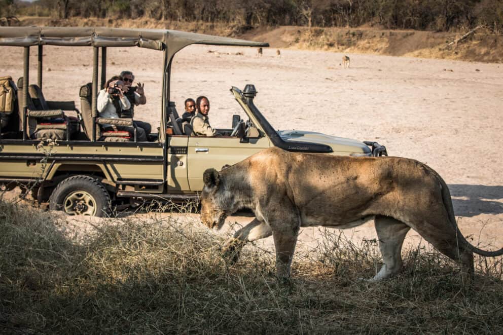 Game drive in Ruaha National Park, Tanzania. Ruaha is one of the best national parks in Africa.